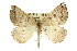  ( - 11ANIC-00448)  @14 [ ] CreativeCommons - Attribution (2011) ANIC/CBG Photography Group Centre for Biodiversity Genomics