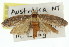  ( - 11ANIC-00632)  @11 [ ] CreativeCommons - Attribution (2011) ANIC/CBG Photography Group Centre for Biodiversity Genomics