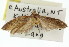  ( - 11ANIC-00634)  @12 [ ] CreativeCommons - Attribution (2011) ANIC/CBG Photography Group Centre for Biodiversity Genomics