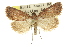  ( - 11ANIC-00820)  @14 [ ] CreativeCommons - Attribution (2011) ANIC/CBG Photography Group Centre for Biodiversity Genomics