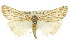  ( - 11ANIC-01053)  @14 [ ] CreativeCommons - Attribution (2011) ANIC/CBG Photography Group Centre for Biodiversity Genomics