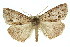  ( - 11ANIC-01097)  @14 [ ] CreativeCommons - Attribution (2011) ANIC/CBG Photography Group Centre for Biodiversity Genomics