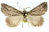  ( - 11ANIC-00892)  @12 [ ] CreativeCommons - Attribution (2011) ANIC/CBG Photography Group Centre for Biodiversity Genomics