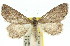  ( - 11ANIC-00919)  @14 [ ] CreativeCommons - Attribution (2011) ANIC/CBG Photography Group Centre for Biodiversity Genomics