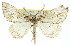  ( - 11ANIC-00926)  @11 [ ] CreativeCommons - Attribution (2011) ANIC/CBG Photography Group Centre for Biodiversity Genomics