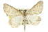  ( - 11ANIC-00931)  @14 [ ] CreativeCommons - Attribution (2011) ANIC/CBG Photography Group Centre for Biodiversity Genomics