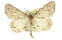  ( - 11ANIC-00933)  @15 [ ] CreativeCommons - Attribution (2011) ANIC/CBG Photography Group Centre for Biodiversity Genomics