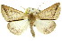  ( - 11ANIC-00940)  @13 [ ] CreativeCommons - Attribution (2011) ANIC/CBG Photography Group Centre for Biodiversity Genomics