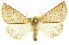  ( - 11ANIC-00943)  @13 [ ] CreativeCommons - Attribution (2011) ANIC/CBG Photography Group Centre for Biodiversity Genomics