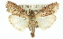  ( - 11ANIC-01148)  @14 [ ] CreativeCommons - Attribution (2011) ANIC/CBG Photography Group Centre for Biodiversity Genomics