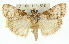  ( - 11ANIC-01301)  @14 [ ] CreativeCommons - Attribution (2011) ANIC/CBG Photography Group Centre for Biodiversity Genomics