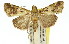  ( - 11ANIC-01317)  @12 [ ] CreativeCommons - Attribution (2011) ANIC/CBG Photography Group Centre for Biodiversity Genomics