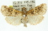  ( - 11ANIC-01324)  @13 [ ] CreativeCommons - Attribution (2011) ANIC/CBG Photography Group Centre for Biodiversity Genomics