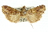  ( - 11ANIC-01328)  @13 [ ] CreativeCommons - Attribution (2011) ANIC/CBG Photography Group Centre for Biodiversity Genomics