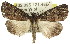  ( - 11ANIC-01422)  @11 [ ] CreativeCommons - Attribution (2011) ANIC/CBG Photography Group Centre for Biodiversity Genomics