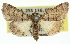  ( - 11ANIC-01666)  @11 [ ] CreativeCommons - Attribution (2011) ANIC/CBG Photography Group Centre for Biodiversity Genomics