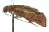  ( - 11ANIC-01714)  @11 [ ] CreativeCommons - Attribution (2011) ANIC/CBG Photography Group Centre for Biodiversity Genomics
