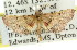  ( - 11ANIC-01722)  @13 [ ] CreativeCommons - Attribution (2011) ANIC/CBG Photography Group Centre for Biodiversity Genomics