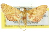  ( - 11ANIC-01724)  @14 [ ] CreativeCommons - Attribution (2011) ANIC/CBG Photography Group Centre for Biodiversity Genomics