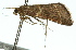  ( - 11ANIC-01731)  @13 [ ] CreativeCommons - Attribution (2011) ANIC/CBG Photography Group Centre for Biodiversity Genomics