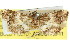  ( - 11ANIC-01738)  @11 [ ] CreativeCommons - Attribution (2011) ANIC/CBG Photography Group Centre for Biodiversity Genomics