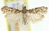  ( - 11ANIC-01997)  @11 [ ] CreativeCommons - Attribution (2011) ANIC/CBG Photography Group Centre for Biodiversity Genomics