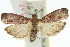  ( - 11ANIC-02013)  @14 [ ] CreativeCommons - Attribution (2011) ANIC/CBG Photography Group Centre for Biodiversity Genomics