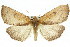  ( - 11ANIC-02127)  @11 [ ] CreativeCommons - Attribution (2011) ANIC/CBG Photography Group Centre for Biodiversity Genomics