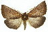  ( - 11ANIC-02129)  @14 [ ] CreativeCommons - Attribution (2011) ANIC/CBG Photography Group Centre for Biodiversity Genomics