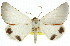 ( - 11ANIC-02174)  @11 [ ] CreativeCommons - Attribution (2011) ANIC/CBG Photography Group Centre for Biodiversity Genomics