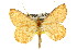  ( - 11ANIC-02240)  @13 [ ] CreativeCommons - Attribution (2011) ANIC/CBG Photography Group Centre for Biodiversity Genomics