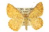  ( - 11ANIC-02242)  @13 [ ] CreativeCommons - Attribution (2011) ANIC/CBG Photography Group Centre for Biodiversity Genomics