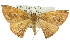  ( - 11ANIC-02247)  @11 [ ] CreativeCommons - Attribution (2011) ANIC/CBG Photography Group Centre for Biodiversity Genomics