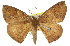  ( - 11ANIC-02250)  @11 [ ] CreativeCommons - Attribution (2011) ANIC/CBG Photography Group Centre for Biodiversity Genomics