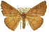  ( - 11ANIC-02252)  @11 [ ] CreativeCommons - Attribution (2011) ANIC/CBG Photography Group Centre for Biodiversity Genomics