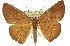  ( - 11ANIC-02254)  @14 [ ] CreativeCommons - Attribution (2011) ANIC/CBG Photography Group Centre for Biodiversity Genomics