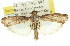 ( - 11ANIC-02292)  @14 [ ] CreativeCommons - Attribution (2011) ANIC/CBG Photography Group Centre for Biodiversity Genomics