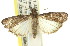  ( - 11ANIC-02295)  @14 [ ] CreativeCommons - Attribution (2011) ANIC/CBG Photography Group Centre for Biodiversity Genomics