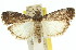  ( - 11ANIC-02298)  @11 [ ] CreativeCommons - Attribution (2011) ANIC/CBG Photography Group Centre for Biodiversity Genomics