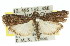  ( - 11ANIC-02301)  @14 [ ] CreativeCommons - Attribution (2011) ANIC/CBG Photography Group Centre for Biodiversity Genomics