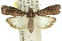  ( - 11ANIC-02309)  @14 [ ] CreativeCommons - Attribution (2011) ANIC/CBG Photography Group Centre for Biodiversity Genomics