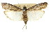  ( - 11ANIC-02322)  @11 [ ] CreativeCommons - Attribution (2011) ANIC/CBG Photography Group Centre for Biodiversity Genomics