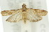  ( - 11ANIC-02338)  @13 [ ] CreativeCommons - Attribution (2011) ANIC/CBG Photography Group Centre for Biodiversity Genomics
