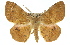  ( - 11ANIC-02451)  @11 [ ] CreativeCommons - Attribution (2011) ANIC/CBG Photography Group Centre for Biodiversity Genomics