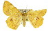  ( - 11ANIC-02454)  @14 [ ] CreativeCommons - Attribution (2011) ANIC/CBG Photography Group Centre for Biodiversity Genomics