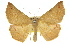  ( - 11ANIC-02464)  @15 [ ] CreativeCommons - Attribution (2011) ANIC/CBG Photography Group Centre for Biodiversity Genomics