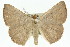 ( - 11ANIC-02514)  @14 [ ] CreativeCommons - Attribution (2011) ANIC/CBG Photography Group Centre for Biodiversity Genomics