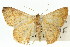  ( - 11ANIC-02519)  @14 [ ] CreativeCommons - Attribution (2011) ANIC/CBG Photography Group Centre for Biodiversity Genomics