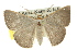  ( - 11ANIC-02522)  @14 [ ] CreativeCommons - Attribution (2011) ANIC/CBG Photography Group Centre for Biodiversity Genomics