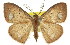  ( - 11ANIC-02523)  @14 [ ] CreativeCommons - Attribution (2011) ANIC/CBG Photography Group Centre for Biodiversity Genomics